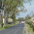 wiosna2015