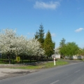 wiosna2015