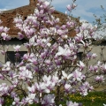 wiosna2015