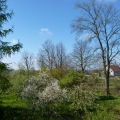 wiosna2015