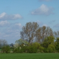 wiosna2015