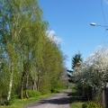 wiosna2015